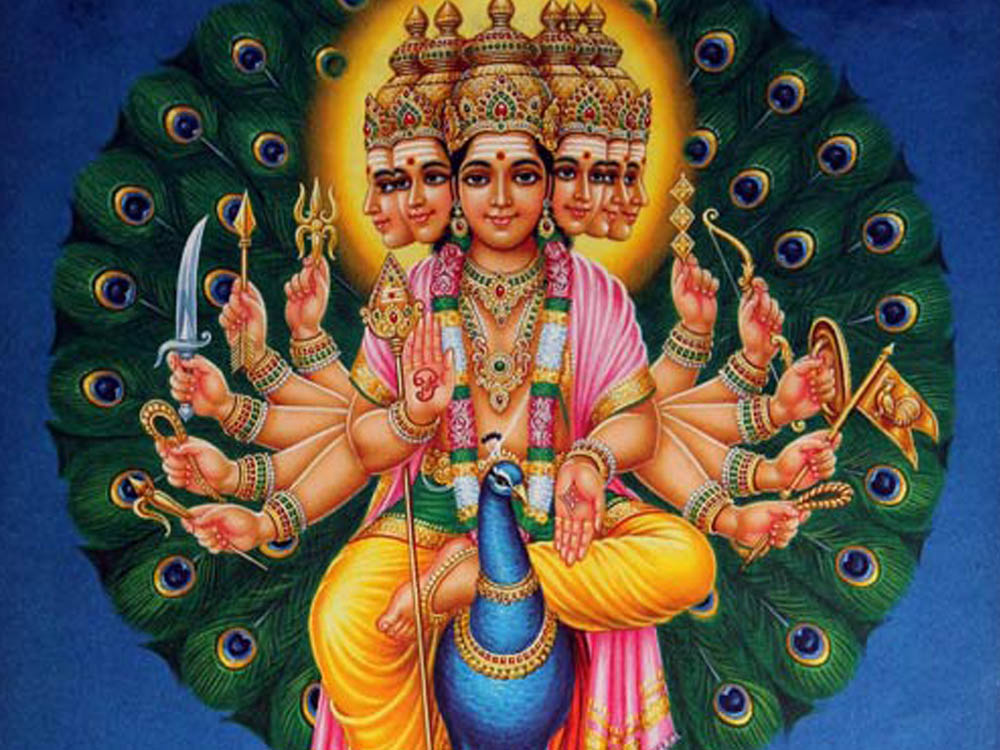 හින්දූන්ටත් වඩා බෞද්ධයන් අතර ජනප්‍රිය කතරගම දෙවියෝ කඳදෙව් සිරිත